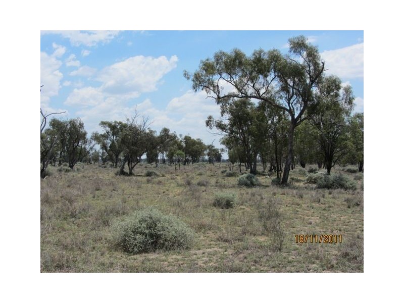* Newman’s, Cobar NSW 2835