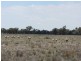 * Newman’s, Cobar NSW 2835