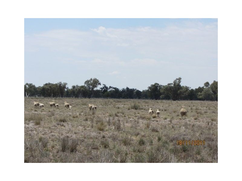 * Newman’s, Cobar NSW 2835