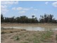 * Newman’s, Cobar NSW 2835