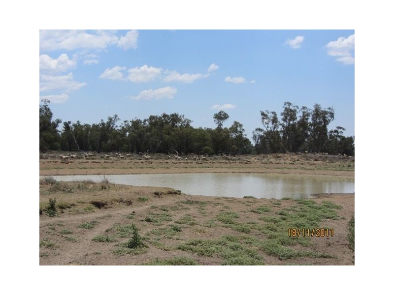 * Newman’s, Cobar NSW 2835
