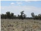 * Newman’s, Cobar NSW 2835