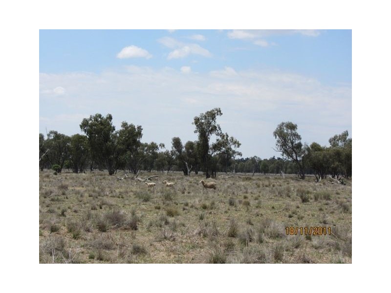 * Newman’s, Cobar NSW 2835