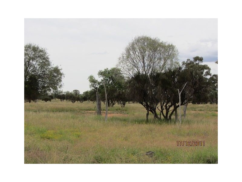 * Buckaroo Station, Cobar NSW 2835