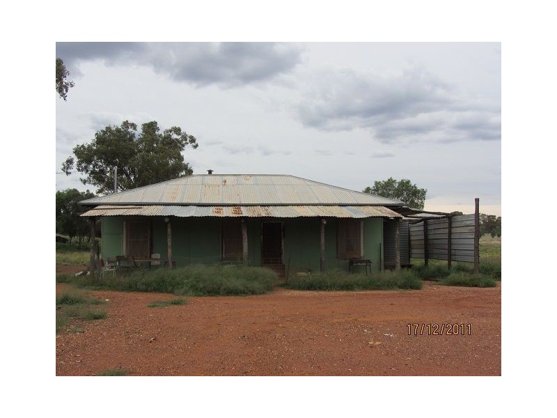 * Buckaroo Station, Cobar NSW 2835