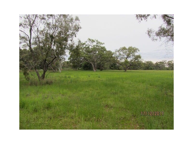 * Buckaroo Station, Cobar NSW 2835