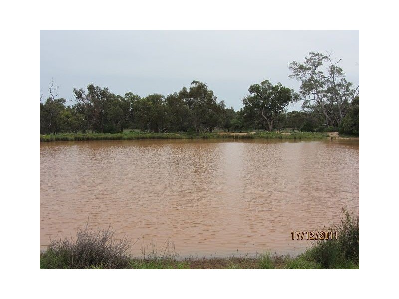 * Buckaroo Station, Cobar NSW 2835