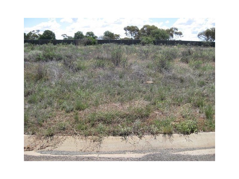 Lot 11 Belah Crescent, Cobar NSW 2835