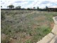Lot 3 Belah Crescent, Cobar NSW 2835