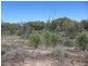 5 Bloxham Street, Cobar NSW 2835