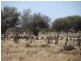 * Yalda Downs, Broken Hill NSW 2880