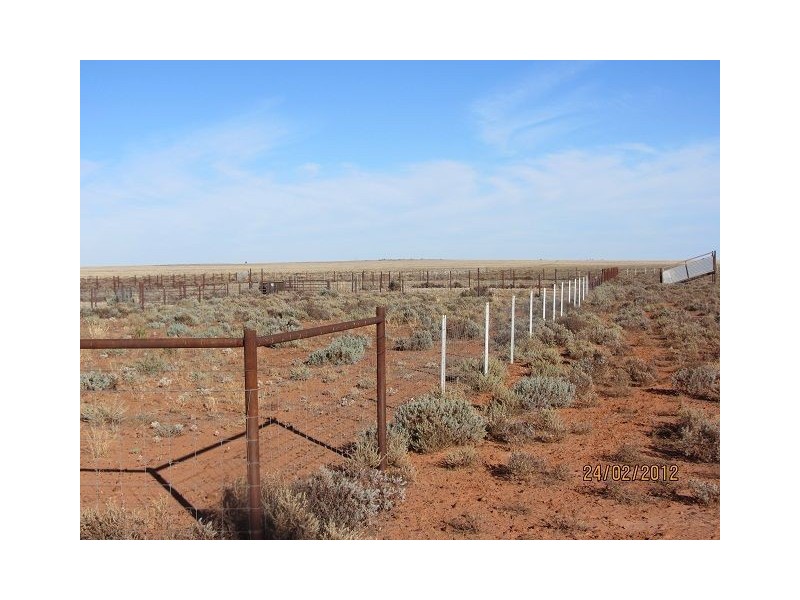 * Yalda Downs, Broken Hill NSW 2880