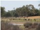 * West Wilgaroon, Cobar NSW 2835