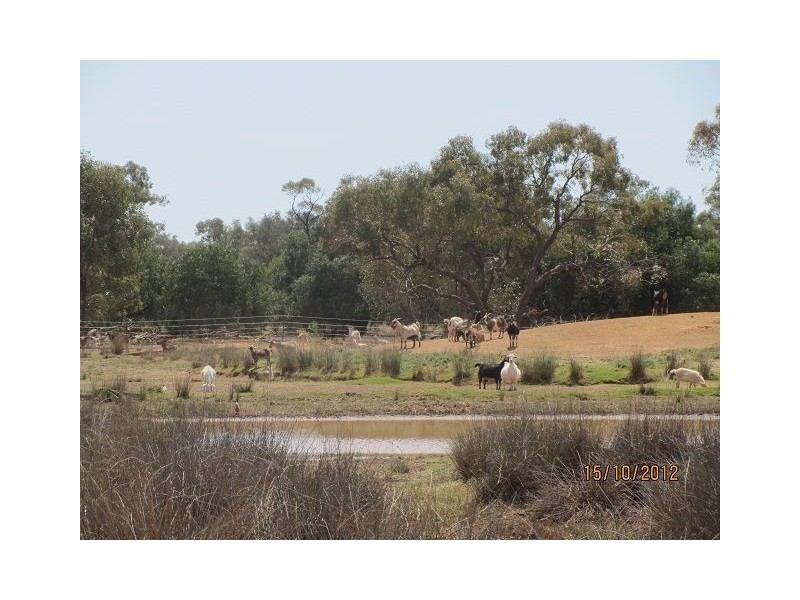 * West Wilgaroon, Cobar NSW 2835