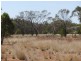 * West Wilgaroon, Cobar NSW 2835