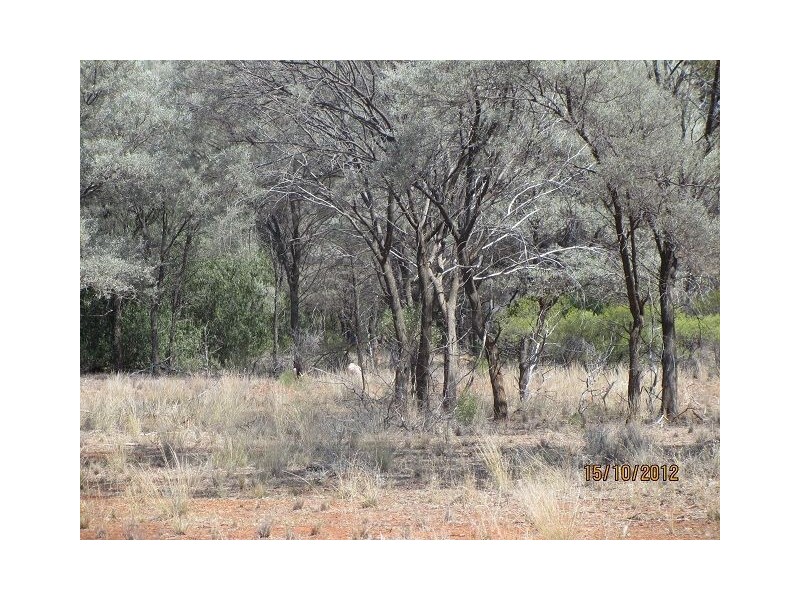 * West Wilgaroon, Cobar NSW 2835