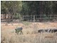 * West Wilgaroon, Cobar NSW 2835