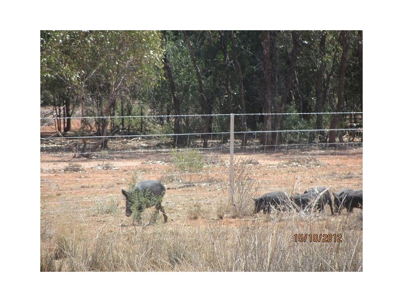 * West Wilgaroon, Cobar NSW 2835