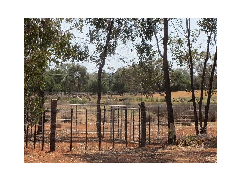 * West Wilgaroon, Cobar NSW 2835