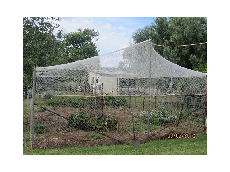 * Pineview, Nyngan NSW 2825