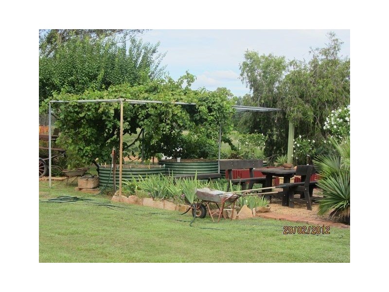 * Pineview, Nyngan NSW 2825