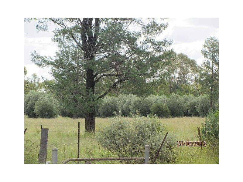 * Pineview, Nyngan NSW 2825