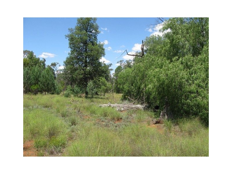 * Pineview, Nyngan NSW 2825