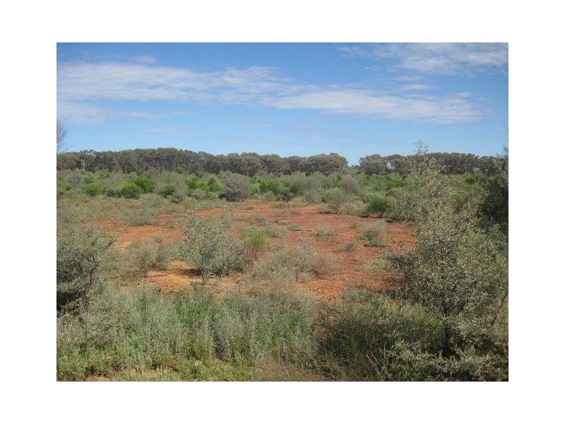 Lot 22 Annie Lane, Cobar NSW 2835