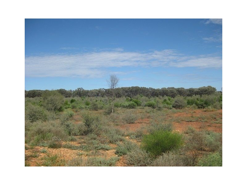 Lot 22 Annie Lane, Cobar NSW 2835