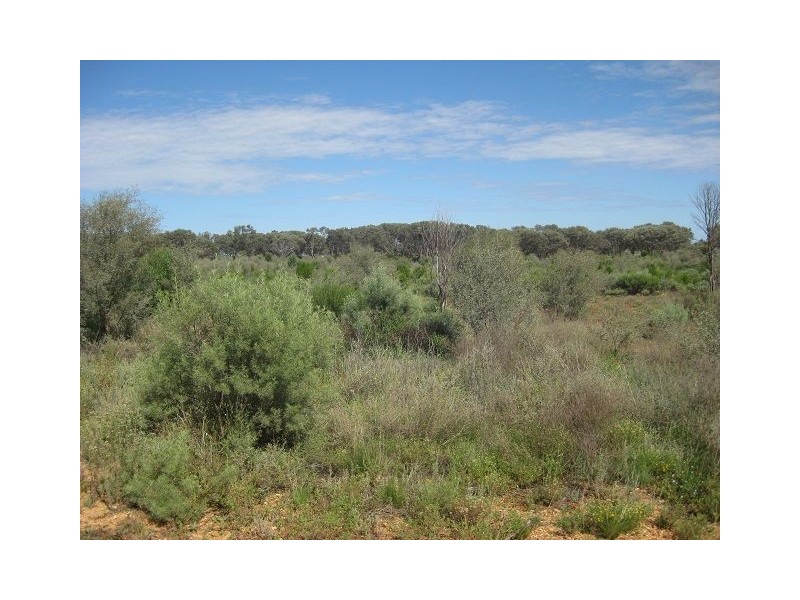 Lot 22 Annie Lane, Cobar NSW 2835