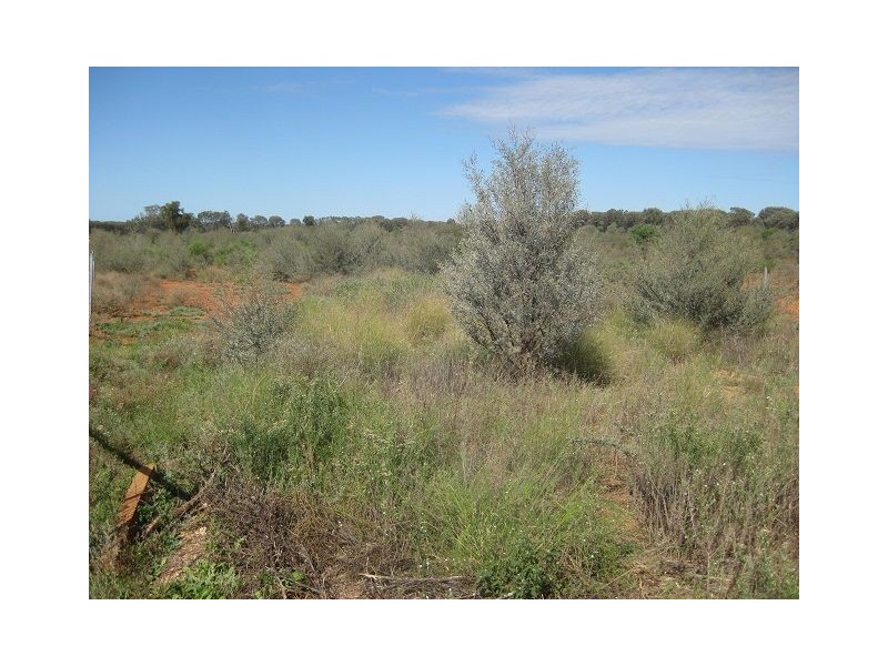 Lot 26 Annies Lane, Cobar NSW 2835