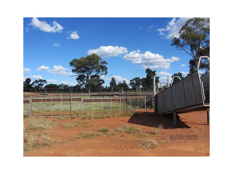 * Koree, Cobar NSW 2835