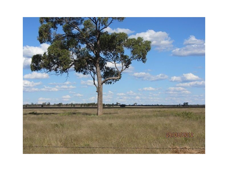 * Koree, Cobar NSW 2835