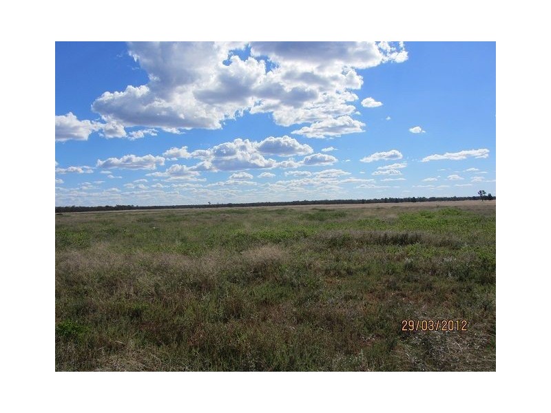 * Koree, Cobar NSW 2835