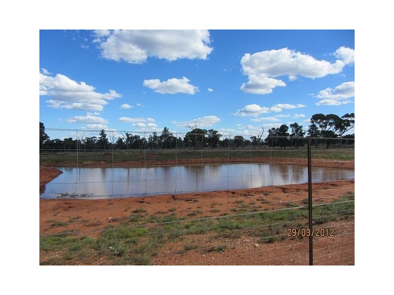 * Koree, Cobar NSW 2835
