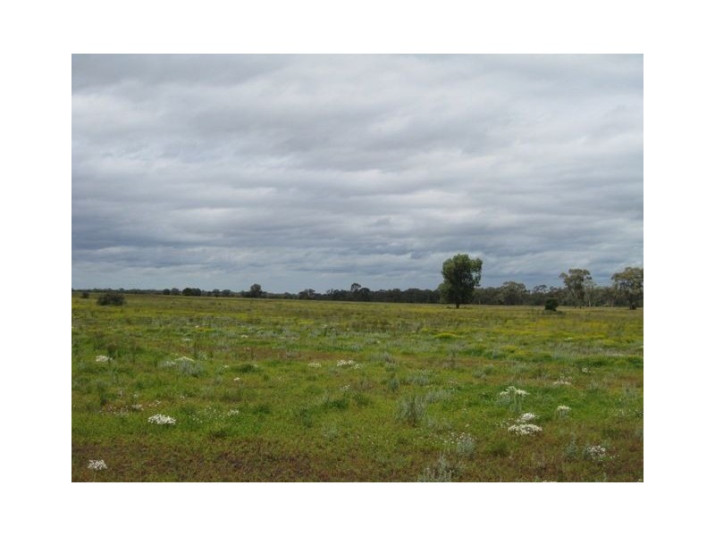 * East Runnymede, Coolabah NSW 2831