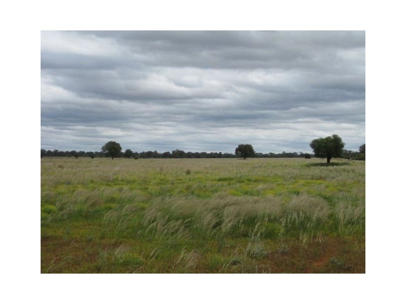 * East Runnymede, Coolabah NSW 2831