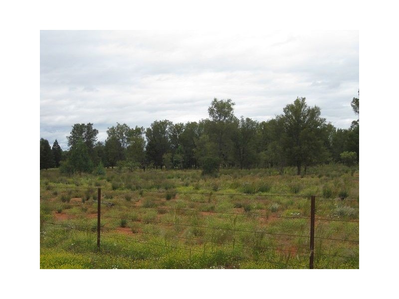 * East Runnymede, Coolabah NSW 2831