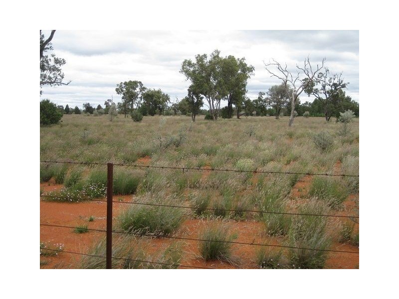 * East Runnymede, Coolabah NSW 2831