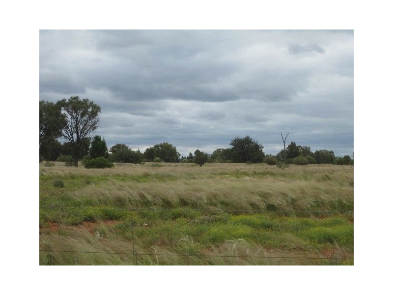 * East Runnymede, Coolabah NSW 2831