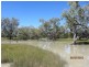 * Pendiana, Coolabah NSW 2831