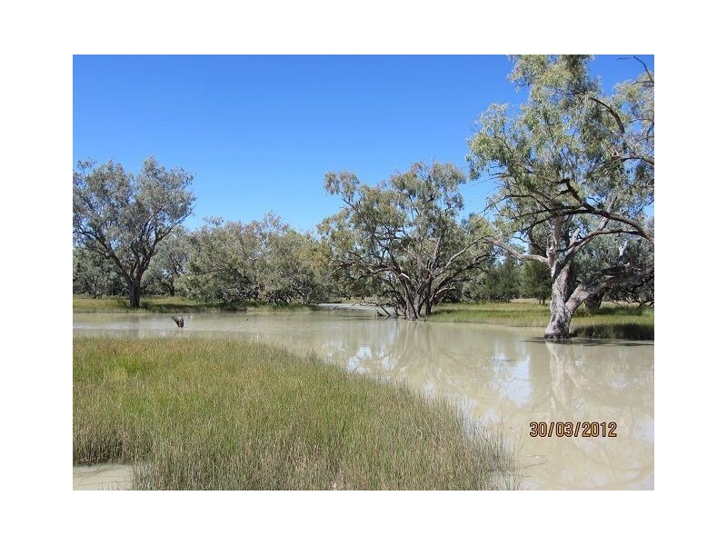 * Pendiana, Coolabah NSW 2831