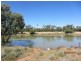 * Pendiana, Coolabah NSW 2831