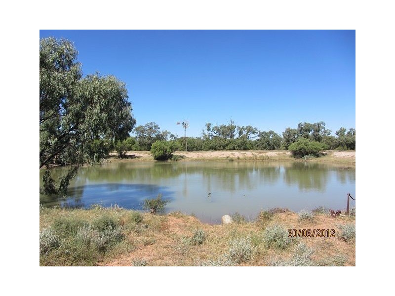 * Pendiana, Coolabah NSW 2831