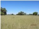 * Pendiana, Coolabah NSW 2831