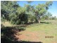 * Pendiana, Coolabah NSW 2831