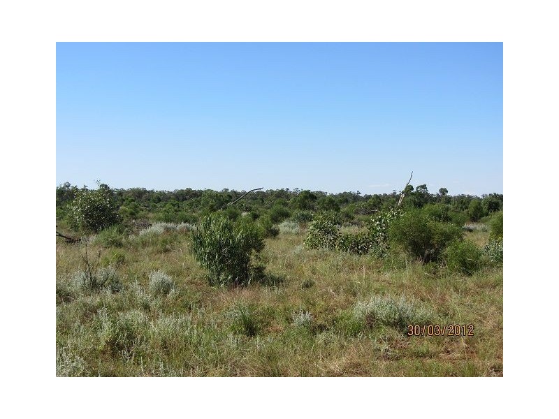 * Pendiana, Coolabah NSW 2831