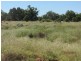 * Pendiana, Coolabah NSW 2831