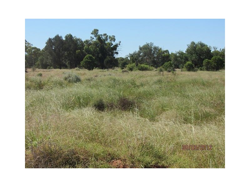 * Pendiana, Coolabah NSW 2831