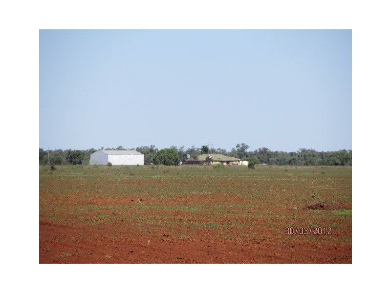 * Pendiana, Coolabah NSW 2831